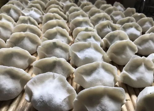 阳台秋种菜，包饺子佳肴