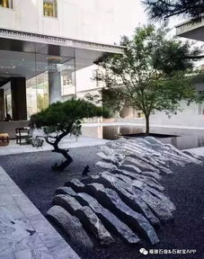 庭院山水景观设计：传统与现代的交融之旅