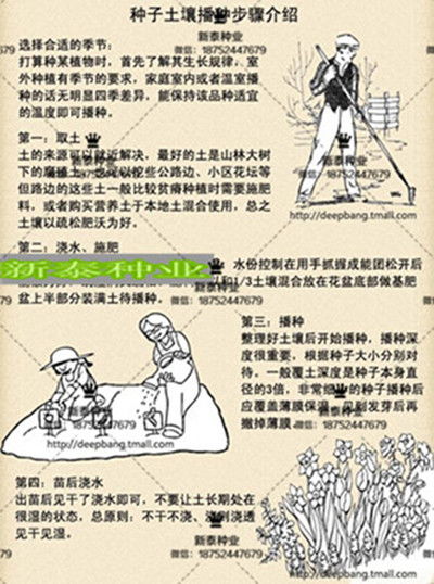 注意土壤和水分管理