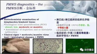 制定科学养殖免疫方案