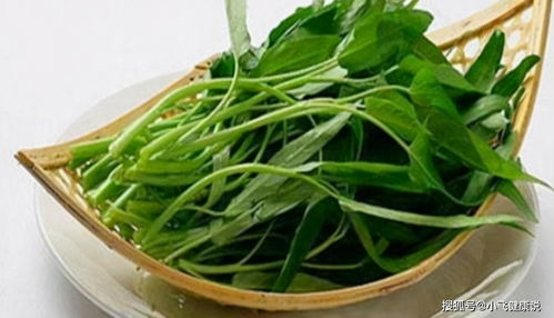“空心菜种子种植技巧，爆款花卉种植必备！”