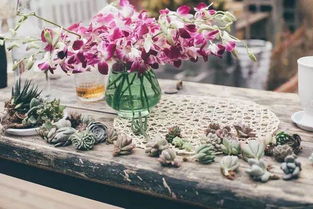 羡慕！荒废10年的老宅院子，她只用了1年，就改成小花园！