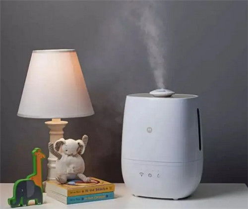 加湿器里可依放什么