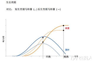 破解难题：吡唑醚菌酯合成路线的突破之路