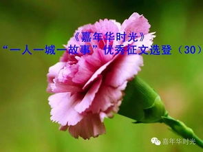 冬日绽放，康乃馨抗寒秘籍！
