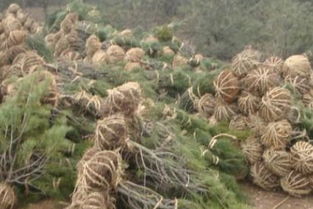 影响价格的因素