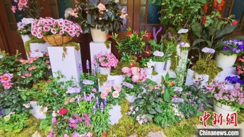 花卉园艺，如何注册公司