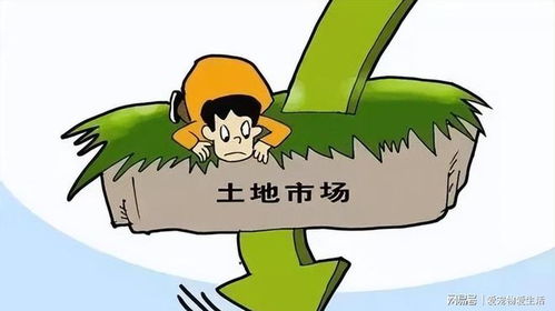 再说说我决定求助专家