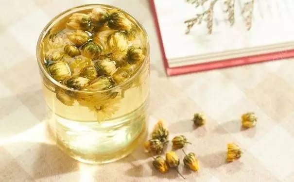 经常喝菊花茶，养生效果怎么样