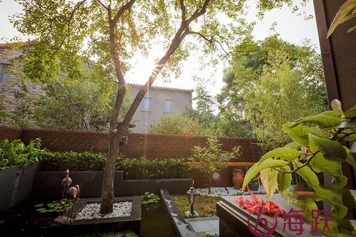 庭院生活的点点滴滴