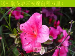 包装与呈现：细节见真章