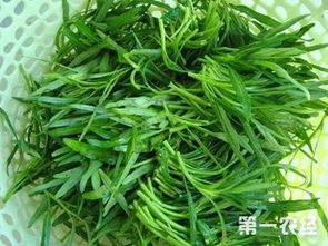 浸泡的种子可采用家里的饭碗等容器