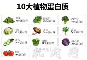 植物蛋白界的三大霸主：大豆、 鹰嘴豆、扁豆