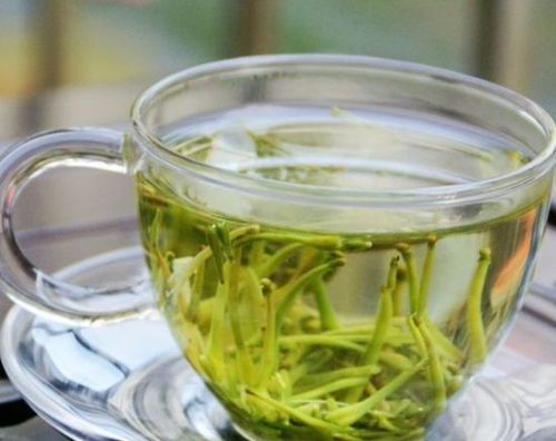金银花茶禁忌人群+正确饮用法，爆款花卉养生秘籍！