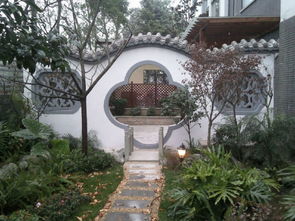 花草树木：映衬之美