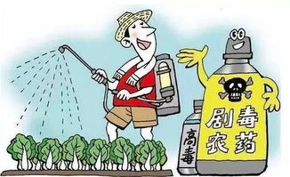 那咱们怎么分辨呢？我来给你支个招儿