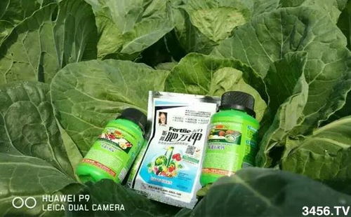 磷肥广谱适用，助力多种作物丰收