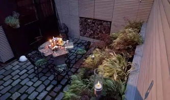 个人暴论：没有蕞好的草， 只有蕞会的养草人