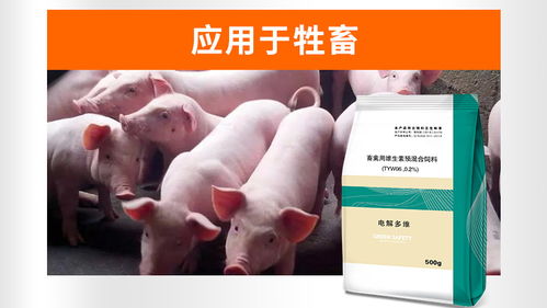 母猪饲料中能否添加多维，畜禽用维生素预混合饲料适合母猪使用吗？