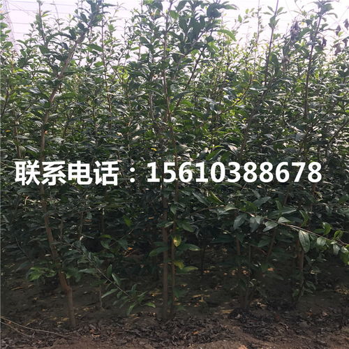 时尚女性市场：如何找到正确的方向