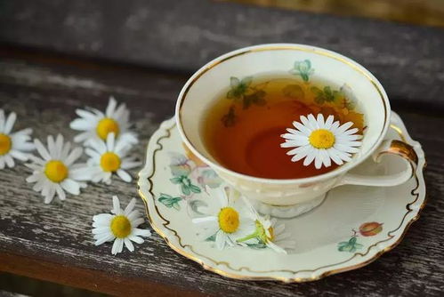 晚上喝菊花茶可以吗？原来喝错了对身体不好