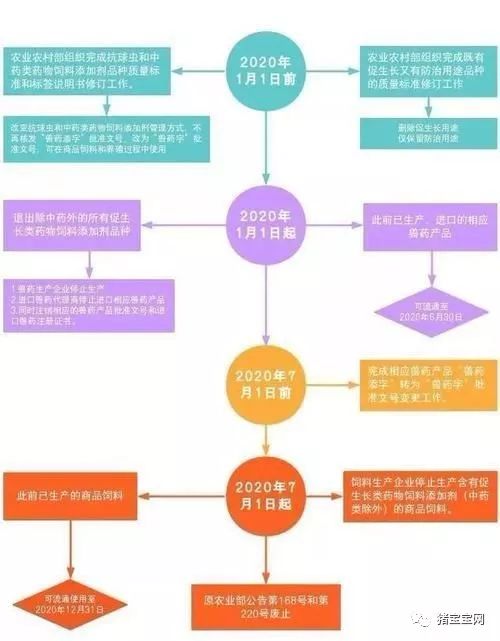 中美饲料添加剂行业准入新规有哪些差异？2025申报流程中需要注意哪些关键点？