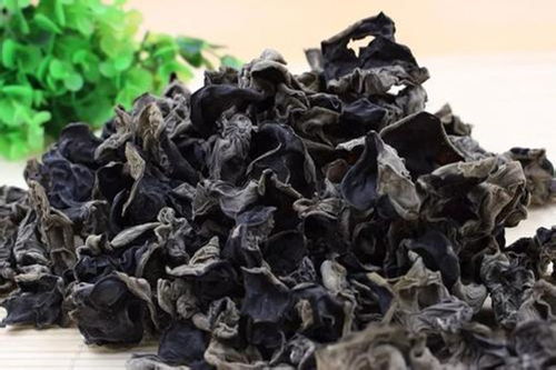 百菌清：黑木耳根腐病的治疗小助手？