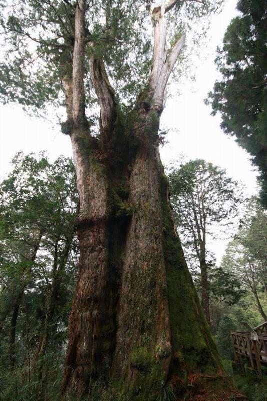 千年对话，活态文化遗产