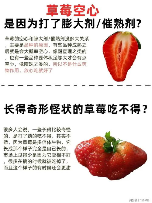 草莓品种哪个好？如何挑选不同口感的草莓