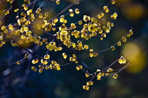 期待与担忧并存