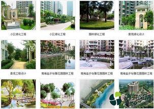 1. 种植与养护：绿植的健康守护者