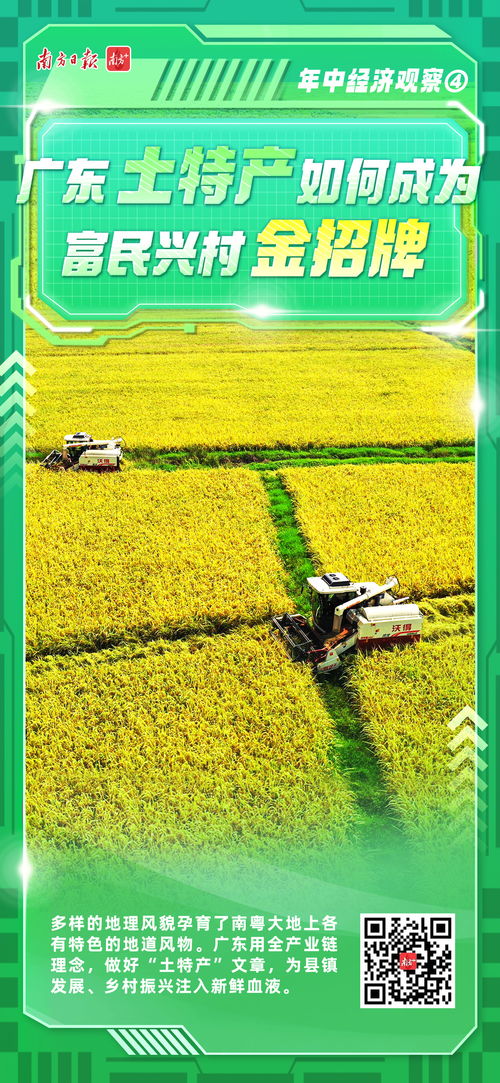 宣城茶油：探寻安徽特产，一斤多少钱？