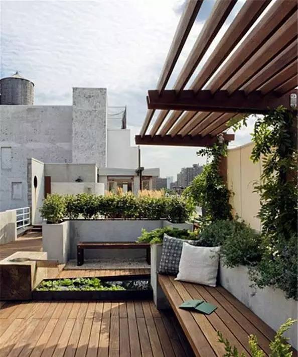 铁线莲：细腻的花瓣，拱门中的艺术品