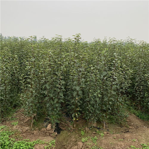 价格背后的秘密