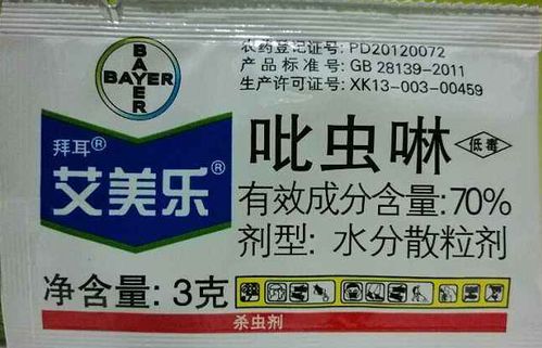 常备经济型防范药品