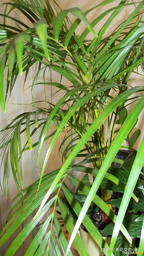 土壤排水要讲究