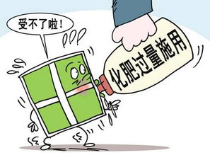 赔偿合理性的争议