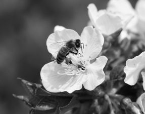 防范措施不可少