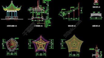园林工程师：城市绿化的推动者