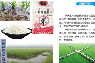 西农大饲料真的靠谱吗？新手如何辨别其品质与效果？