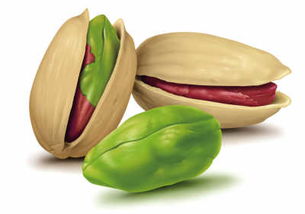 开心果为何如此昂贵？揭秘价格背后的秘密