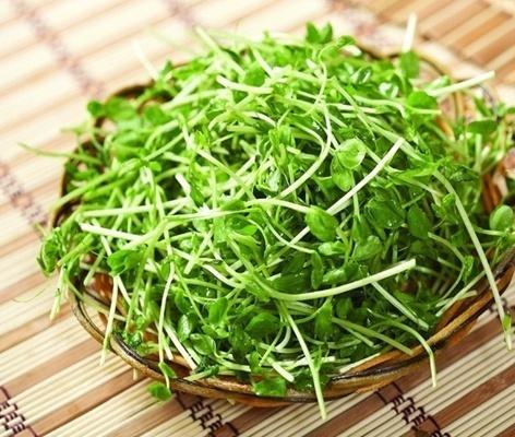 豆苗田使用水花生除草剂的疑问