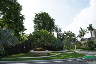 广州雅玥园林工程有限公司：自然之美， 匠心独运