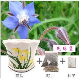 花儿的肥料， 大自然给的礼物