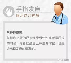 2025年春季：两地麦田， 效果差大半