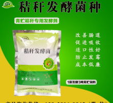 发酵饲料菌种激活过程中，如何确保菌种的最佳活性与繁殖效率？