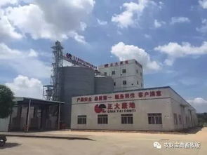 东莞正大康地饲料有限公司在全国饲料行业排名第几？