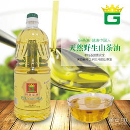 百色山茶油苗热销基地，电话直通品质之选！