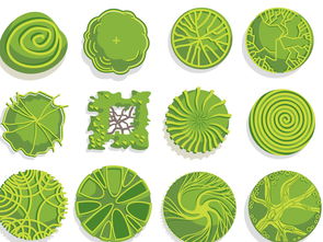 修剪枝条， 保持树形