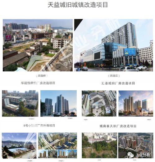 耒阳市茶油价格一览：宜春地区收购点速查！